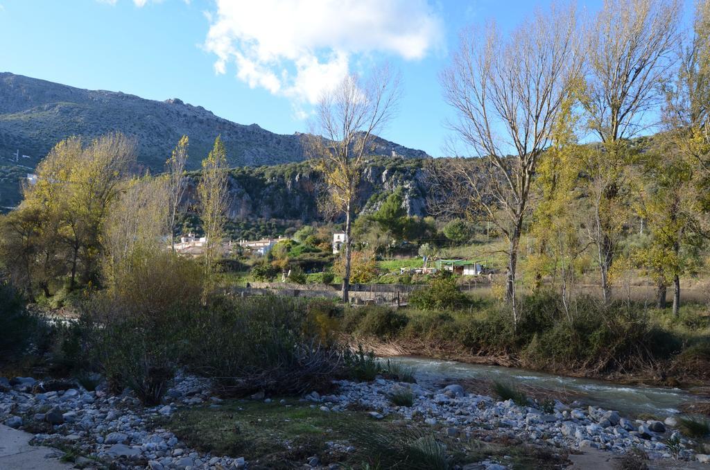 Villa Cristina Benaoján 部屋 写真