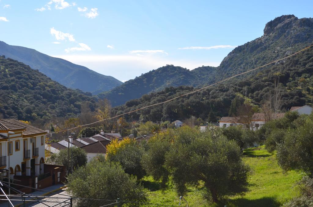 Villa Cristina Benaoján エクステリア 写真